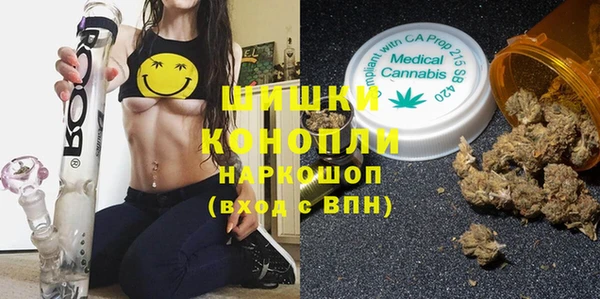 бошки Ельня