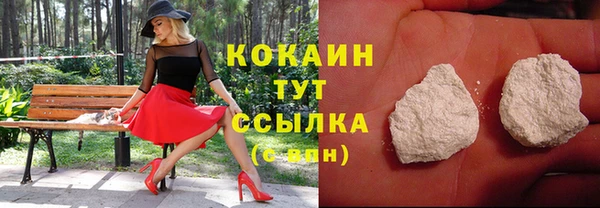 PSILOCYBIN Дмитровск