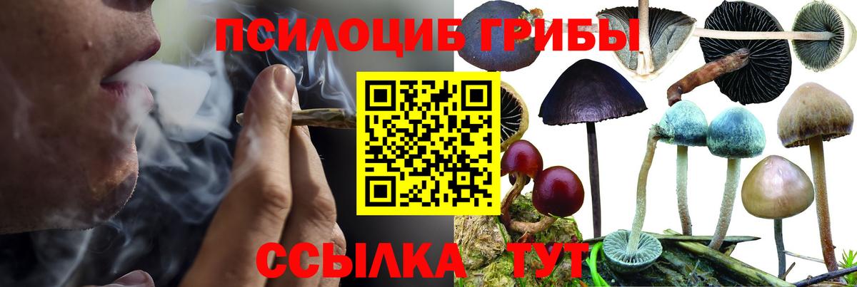 Галлюциногенные грибы Cubensis Азнакаево